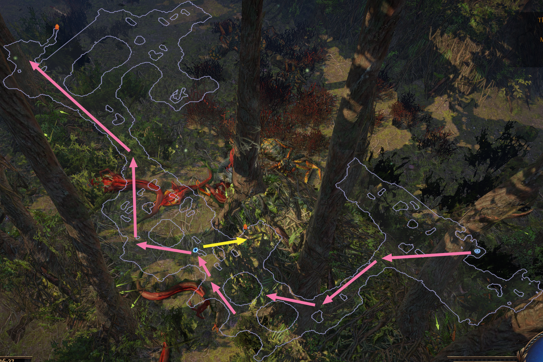 Northern Forest Variant 3